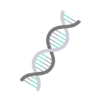 In addition to traditional Mendelian variants, Ariel reports disease modifying and complex genetic variants.