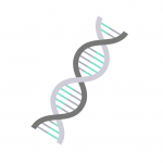 In addition to traditional Mendelian variants, Ariel reports disease modifying and complex genetic variants.